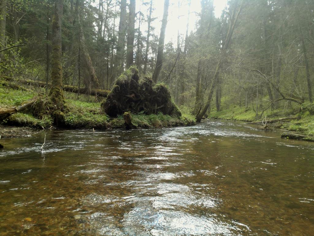 img 20150502 113720