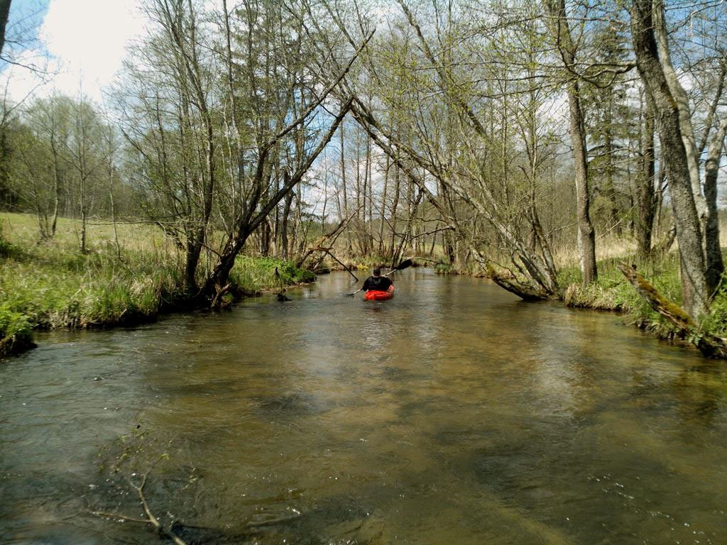 img 20150502 124621
