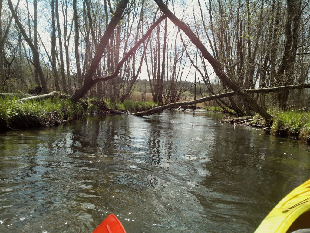 img 20150502 133956