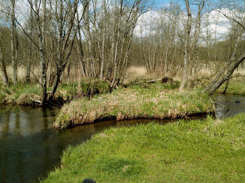 img 20150502 140853